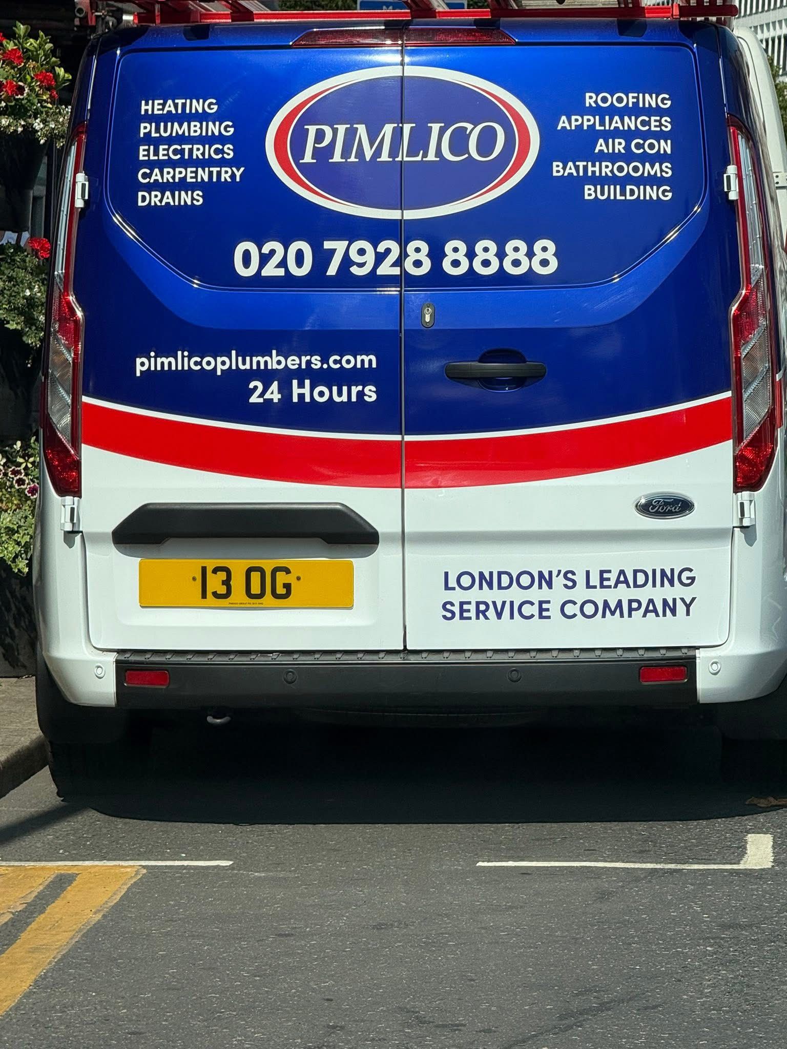 Pimlico Plumbers Number Plate 13 OG